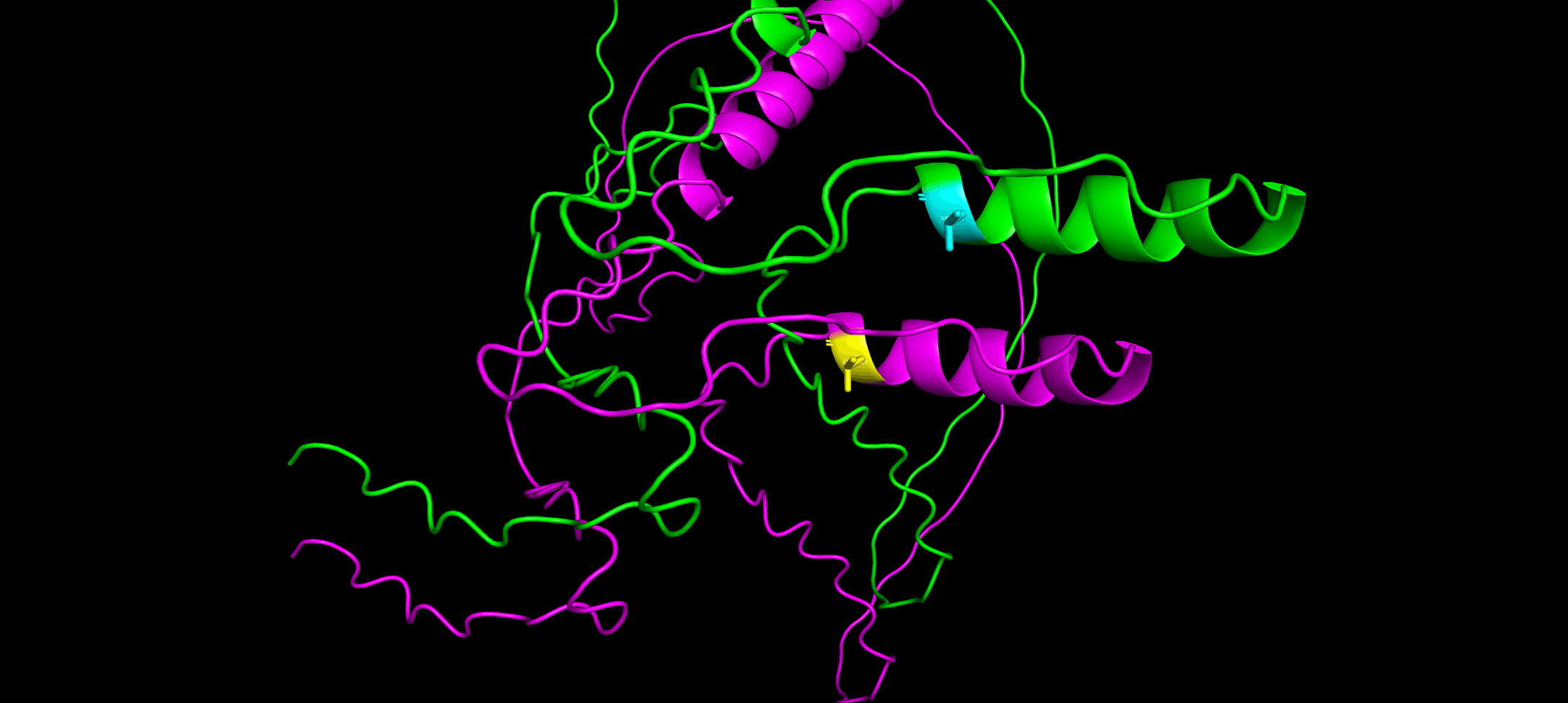 Wild-type versus mutant protein structure comparison for missense SNP interpretation